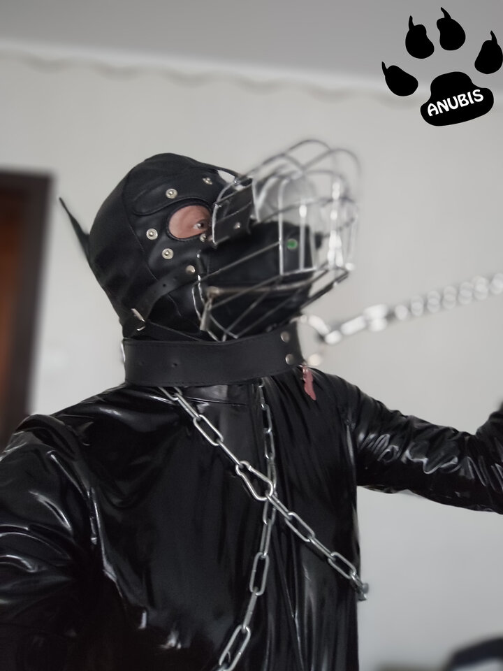 IMG_20240809_144057.jpg - Anubis86PL