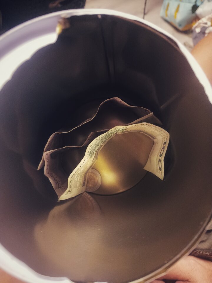 Wyniki zbiórki - agamich