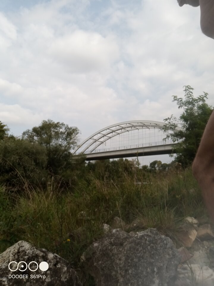 IMG_20240827_145217_165.jpg - amfeti35