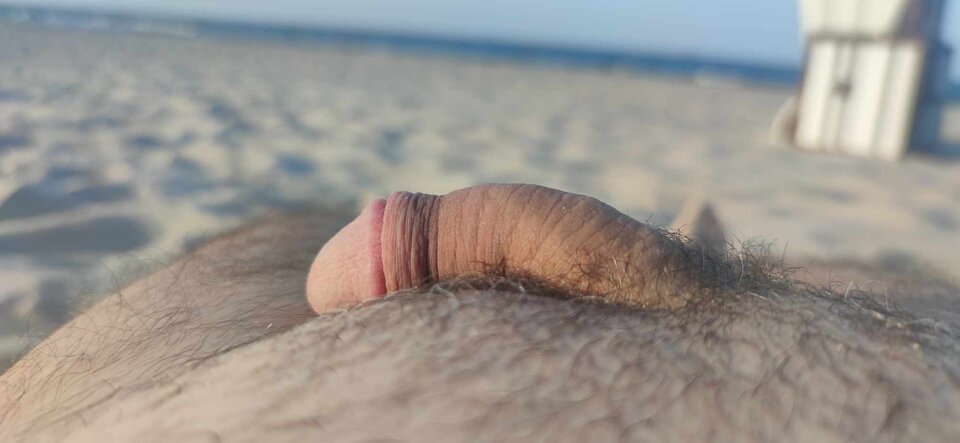 received_1543221779935642.jpeg - DyskretPlock