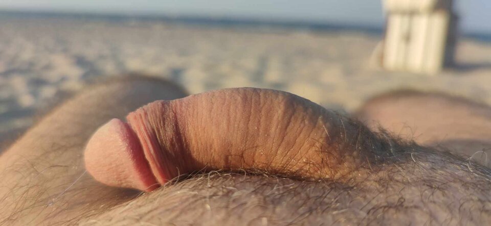 received_1612222066303321.jpeg - DyskretPlock