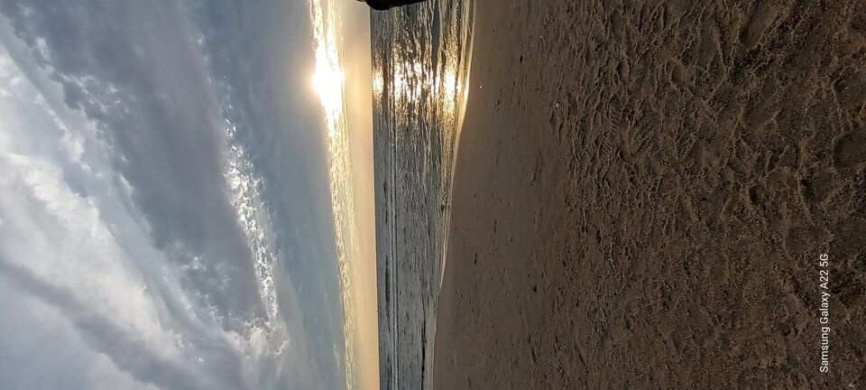 20240823_191504.jpg - Stary70pl