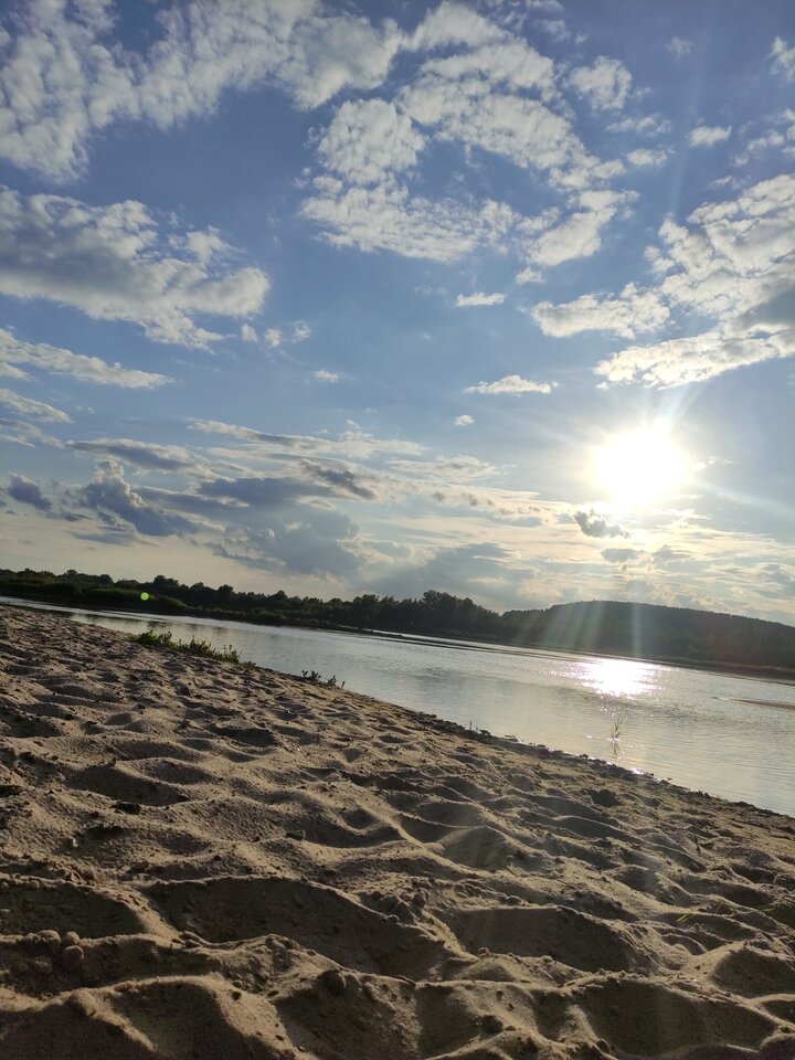 1000000103.jpg - panstwobloom