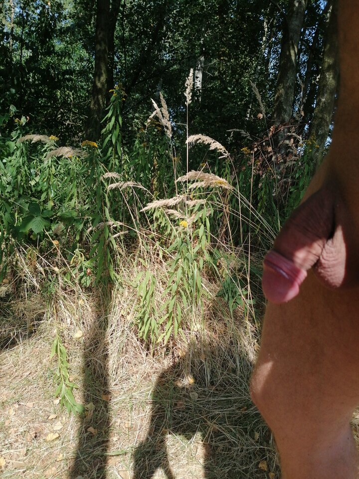 17248481466548507319650792701286.jpg - Robert76r