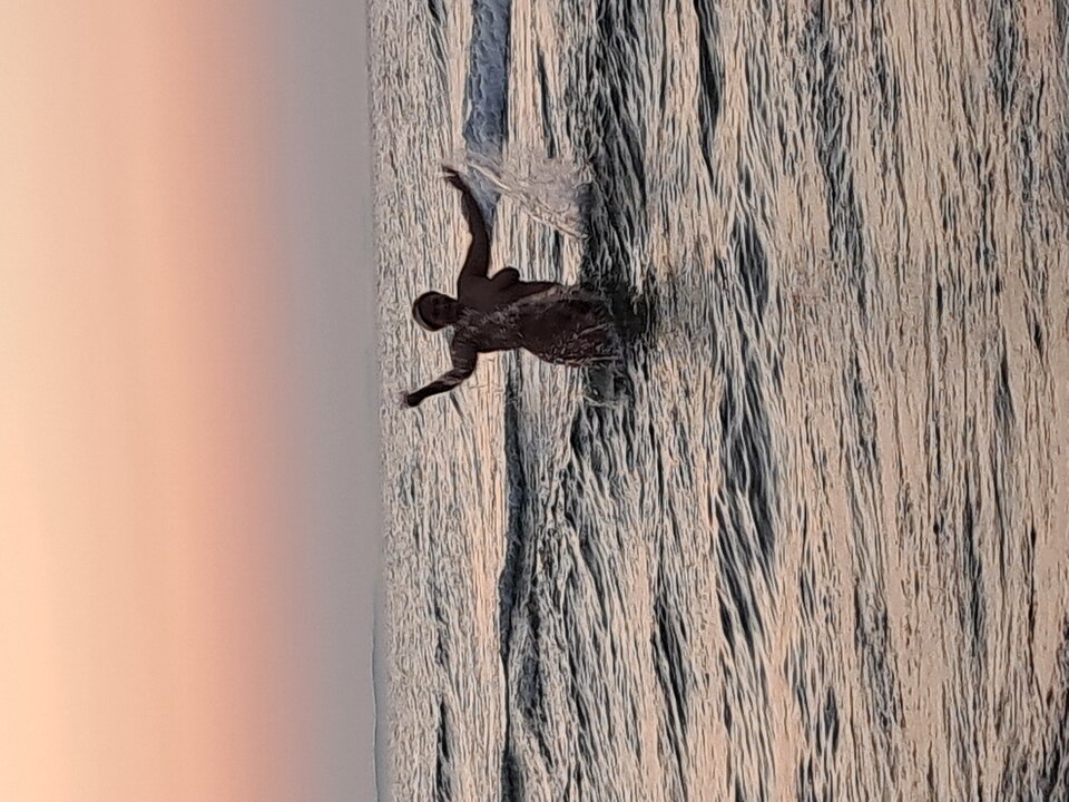 1000123015.jpg - Sashanata