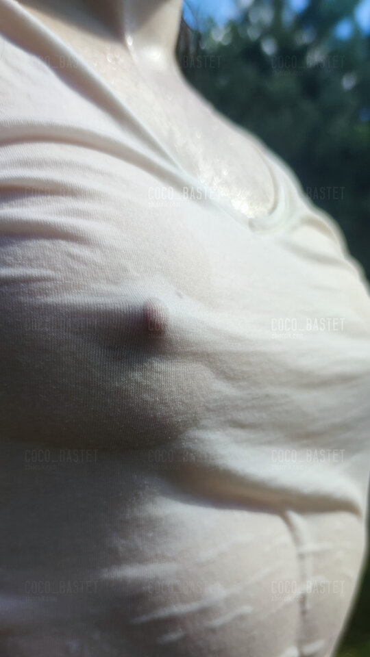 Wybory - Coco_Bastet