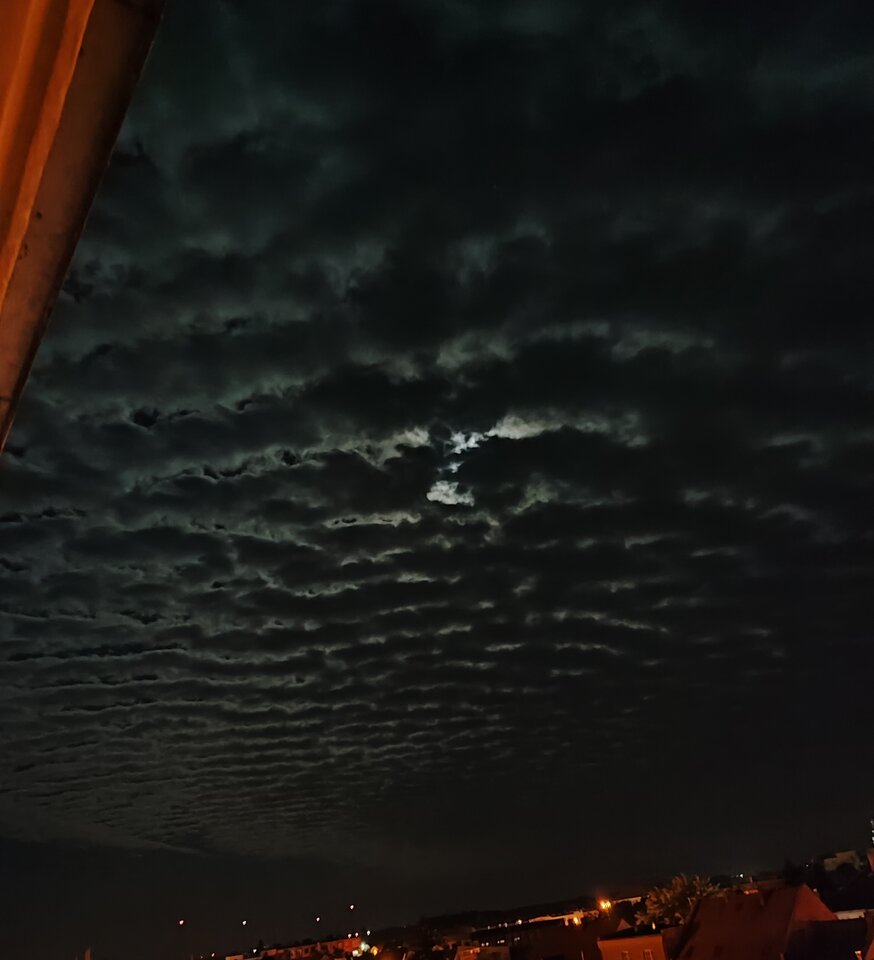 IMG_20240828_132458.jpg - BedeOpowiadal