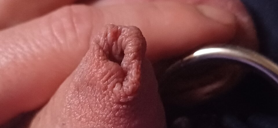 1000003740.jpg - Fiutkutaschujjaja