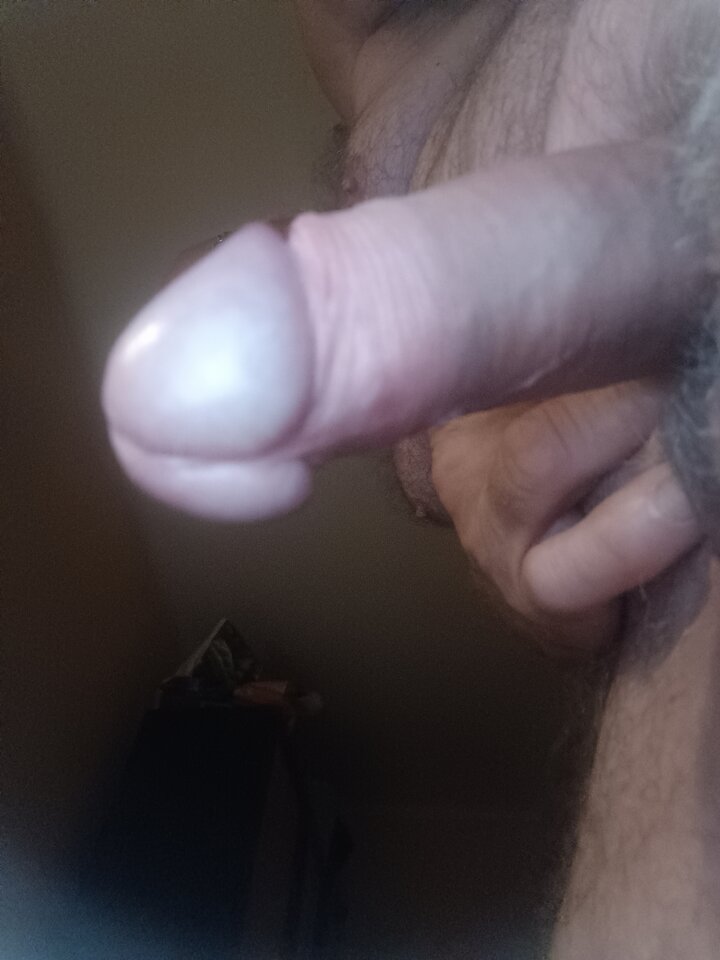 17248973270554277040442814382741.jpg - ardas1