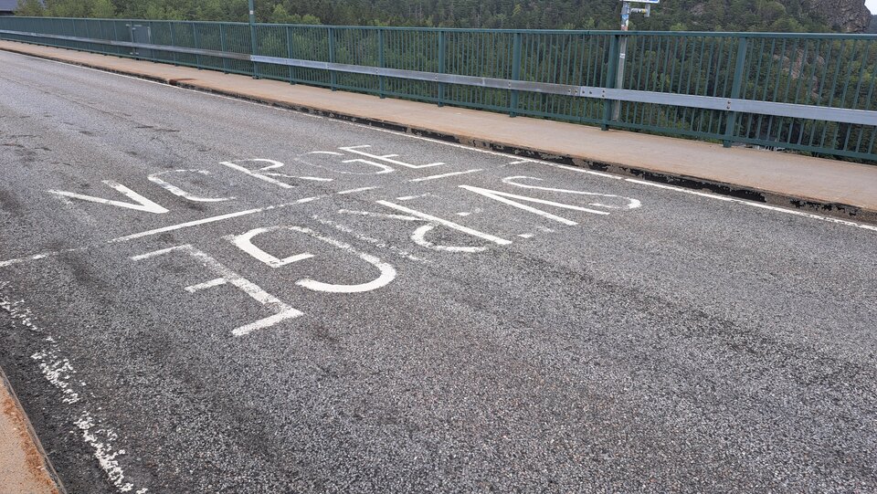 1000006857.jpg - oko_horusa_