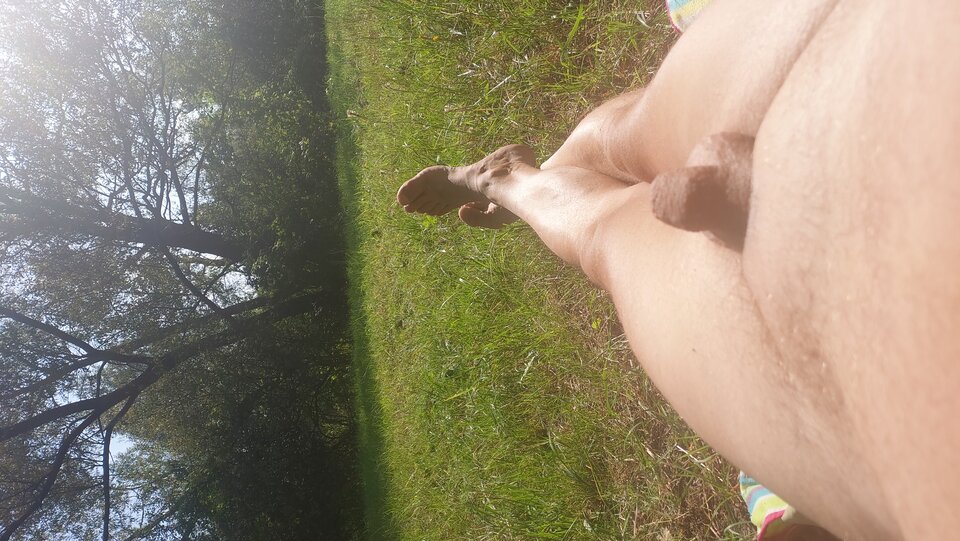 20240829_151721.jpg - jarben1