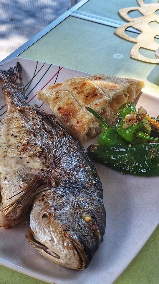 20240829_143818.jpg - ciekawi7484