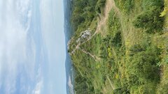 929B0054-185D-4BD6-900A-C111B6120FBD.jpeg
