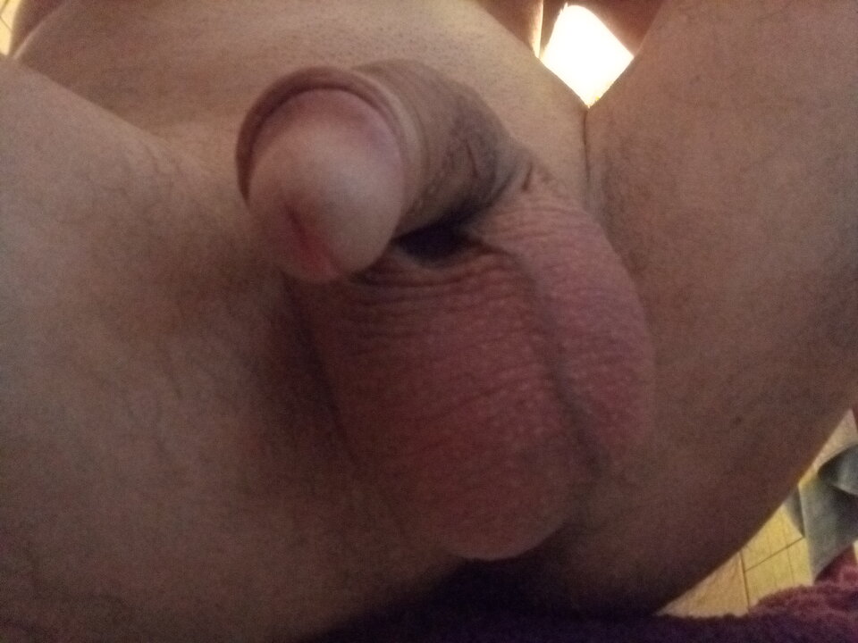 17249583892808179986779858526842.jpg - Warmiaccy