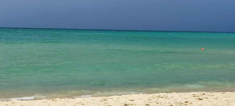 IMG_20240829_144531.jpg - Norton40