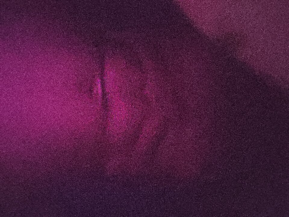 17249674986329080410750836172155.jpg - NicponieFest