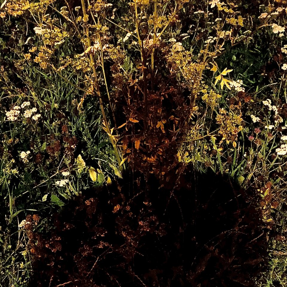 IMG_6672.jpeg - ader_91