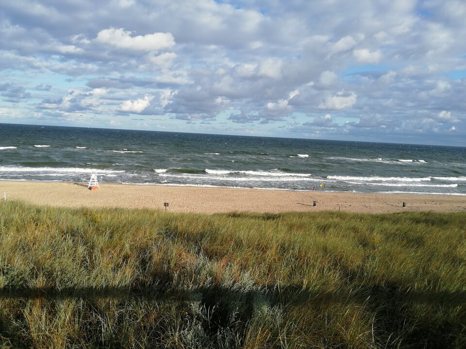 1000002081.jpg - lulu01