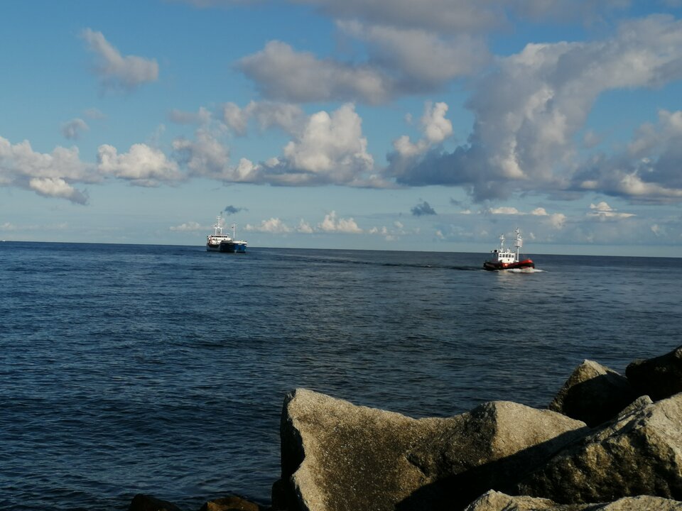 1000002186.jpg - lulu01