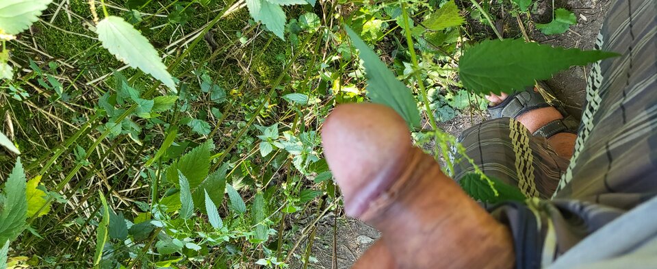 1000007254.jpg - Jesuspedrao