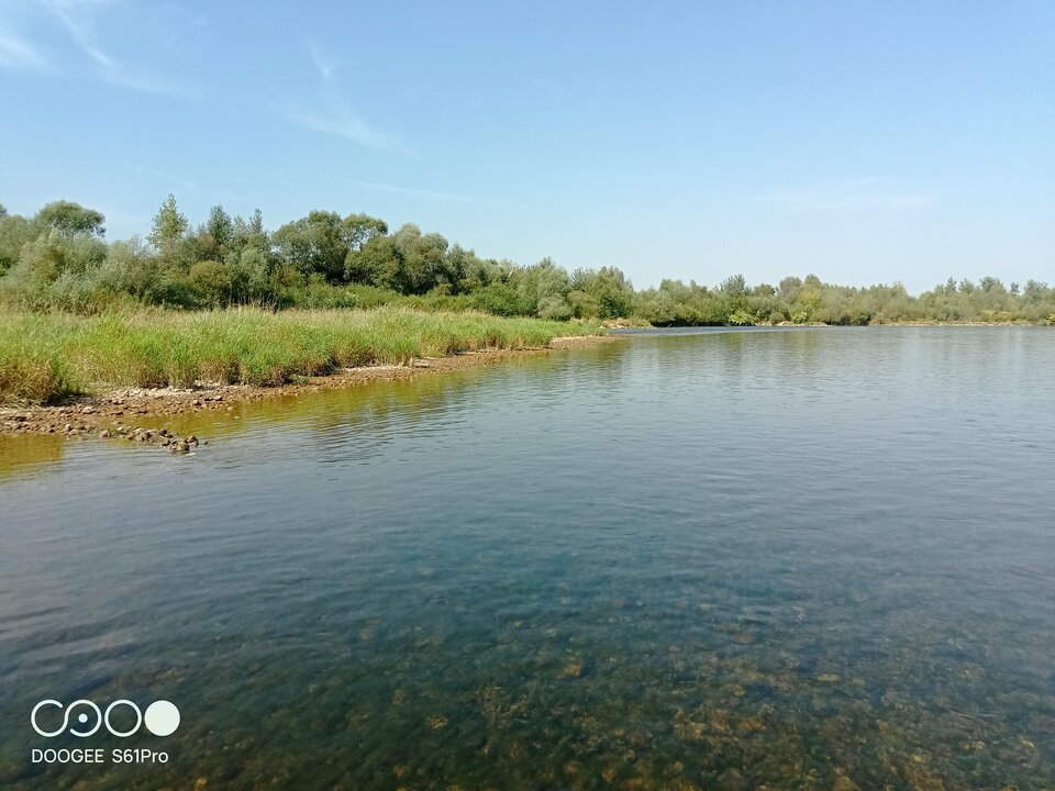 IMG_20240830_125607_408.jpg - amfeti35