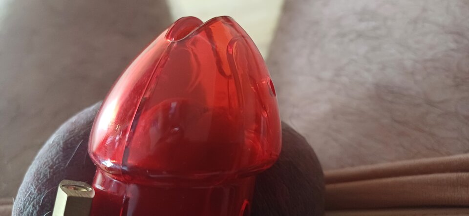 1000013027.jpg - Thomas57