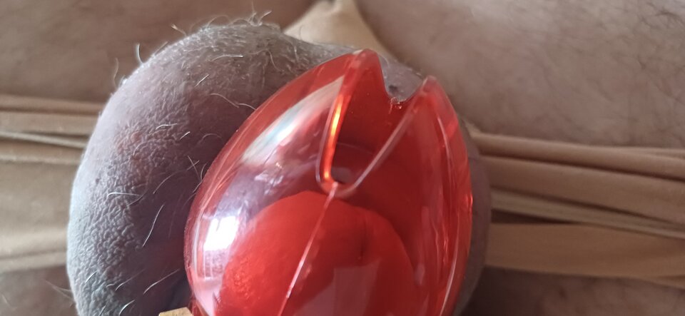 1000013030.jpg - Thomas57