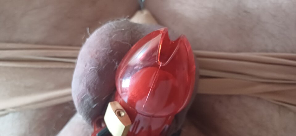 1000013028.jpg - Thomas57