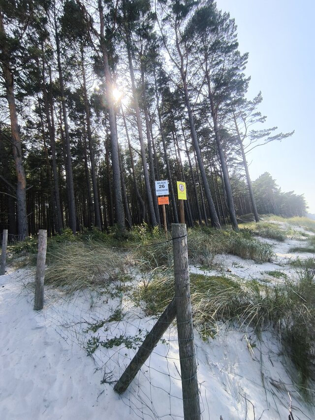 Pani_kikuo_i_pan_ibe