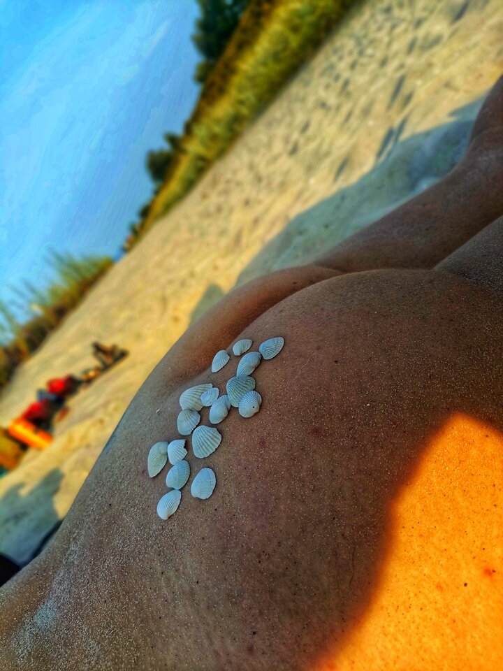 1000010447.jpg - MadamandViking