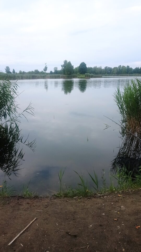 IMG_20240727_182326.jpg - Para1512