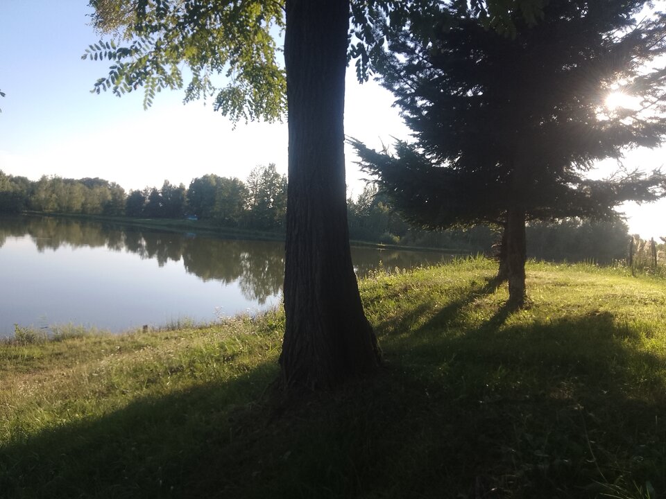 1000005807.jpg - cxxhetnysingiel85