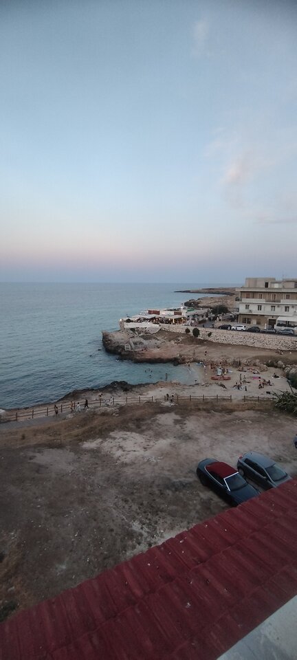 IMG_20240822_193211.jpg - Leinadianin