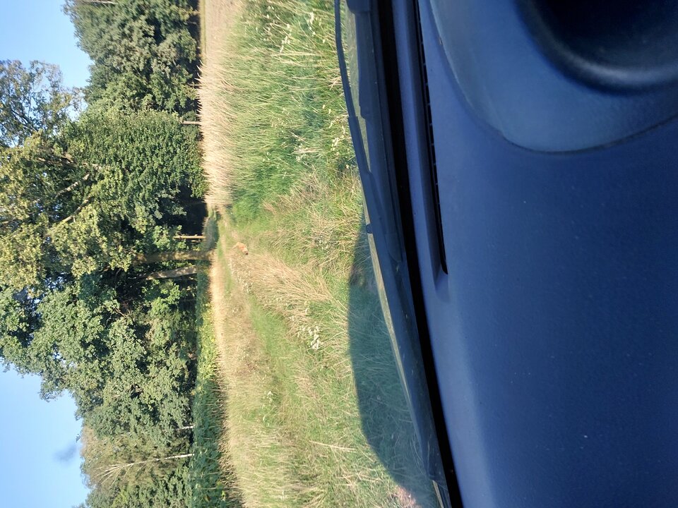 1000004970.jpg - Takisobiejeden1