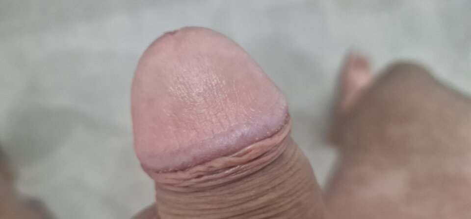 17251738469805292415663530187226.jpg - robin266