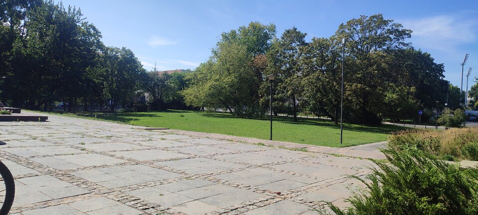 IMG_20240901_104034.jpg - hetrosik