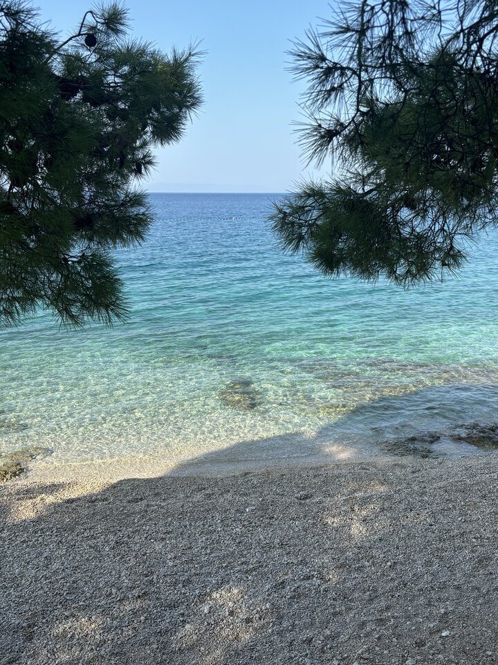 IMG_5087.jpeg - OnWroclav