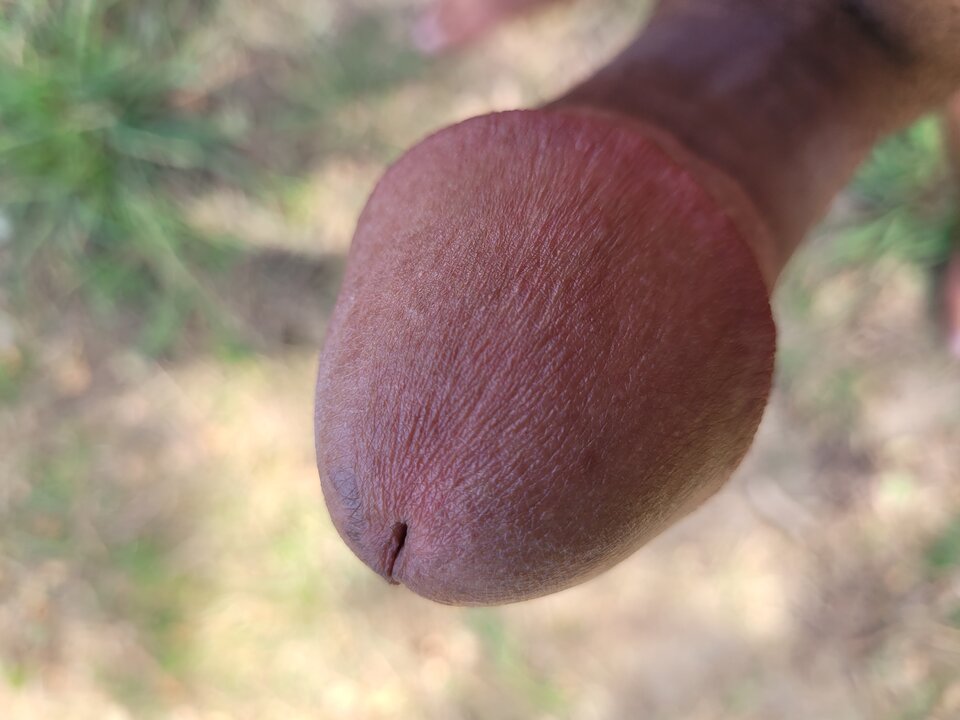 17251888523922107292619269734358.jpg - Sexboys86