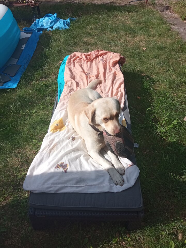 Była walka o miejsce do opalania się - Smieszka80