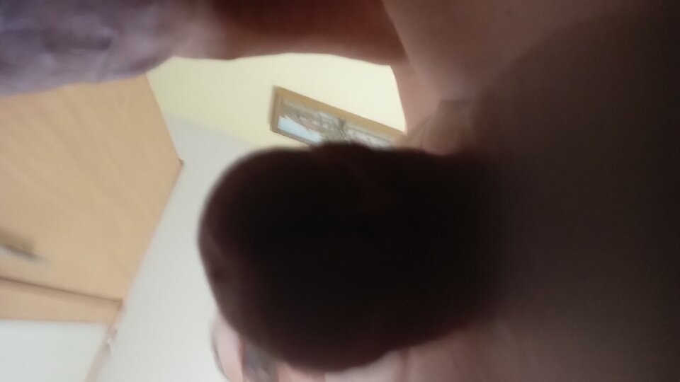 IMG_20240901_145528_676_LL.jpg - bogunio501