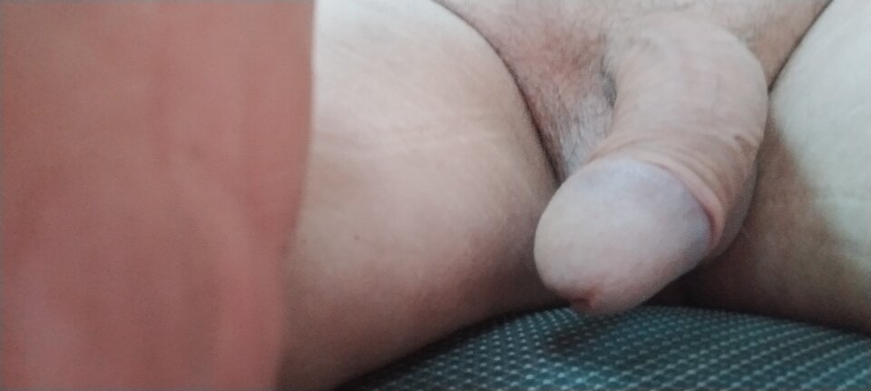 IMG_20240901_080831.jpg - ciekawy62