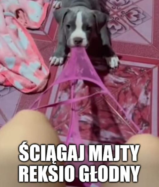 1000045317.jpg - jesionroyal