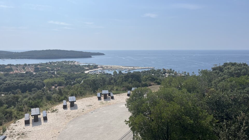 IMG_1118.jpeg - Wicki74