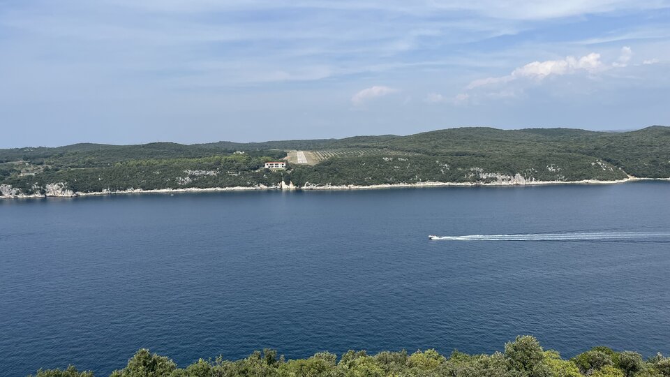 IMG_1115.jpeg - Wicki74