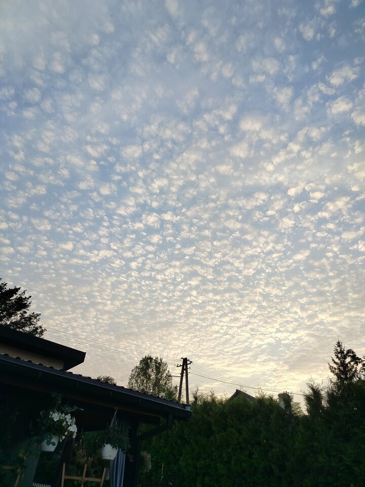 1000000083.jpg - mili3132