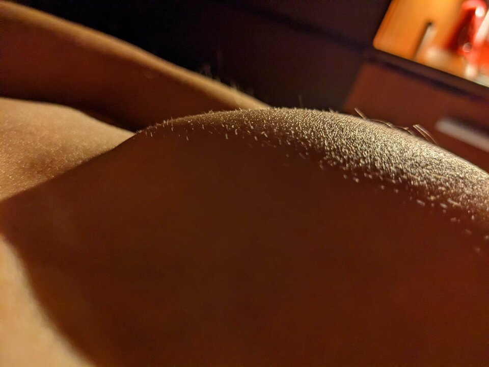 received_4871055543018818.jpeg - Massimek81