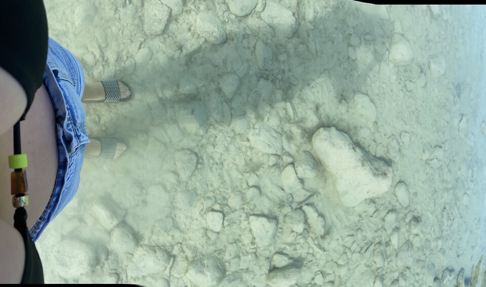 IMG_5136.jpeg - May_Day