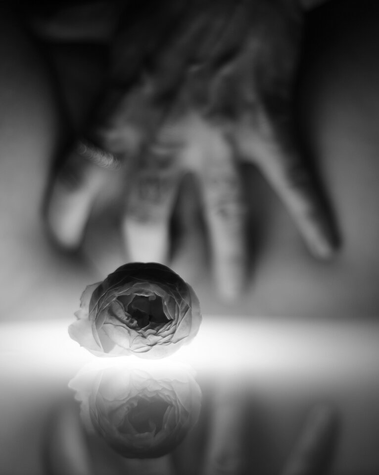 The Rose Bud.JPG - why_not_tango