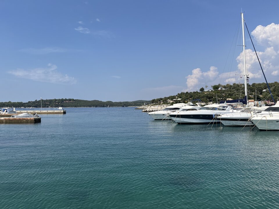 IMG_1133.jpeg - Wicki74