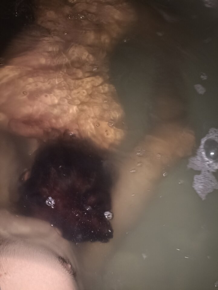 1000027777.jpg - sszukamy